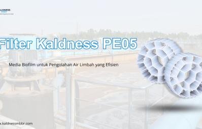 Filter Kaldness PE05